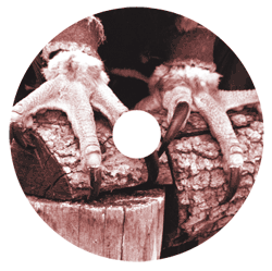 Incus Live at COSM album